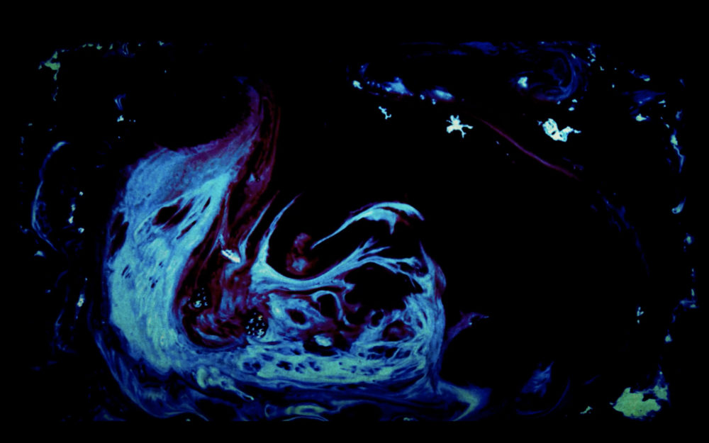 Schermata 2019-02-26 alle 17.29.29