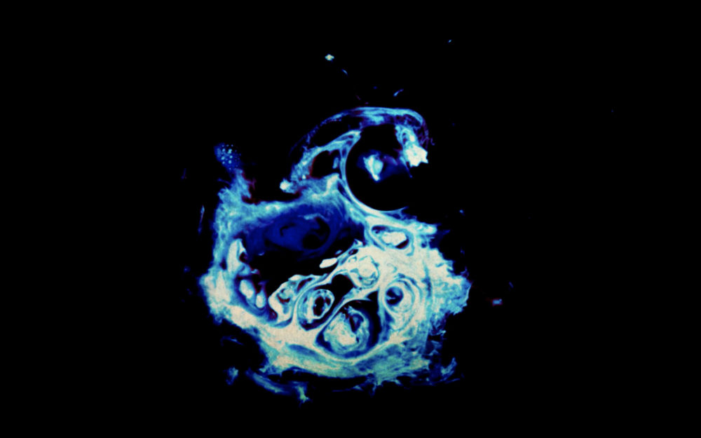 Schermata 2019-02-26 alle 17.30.00